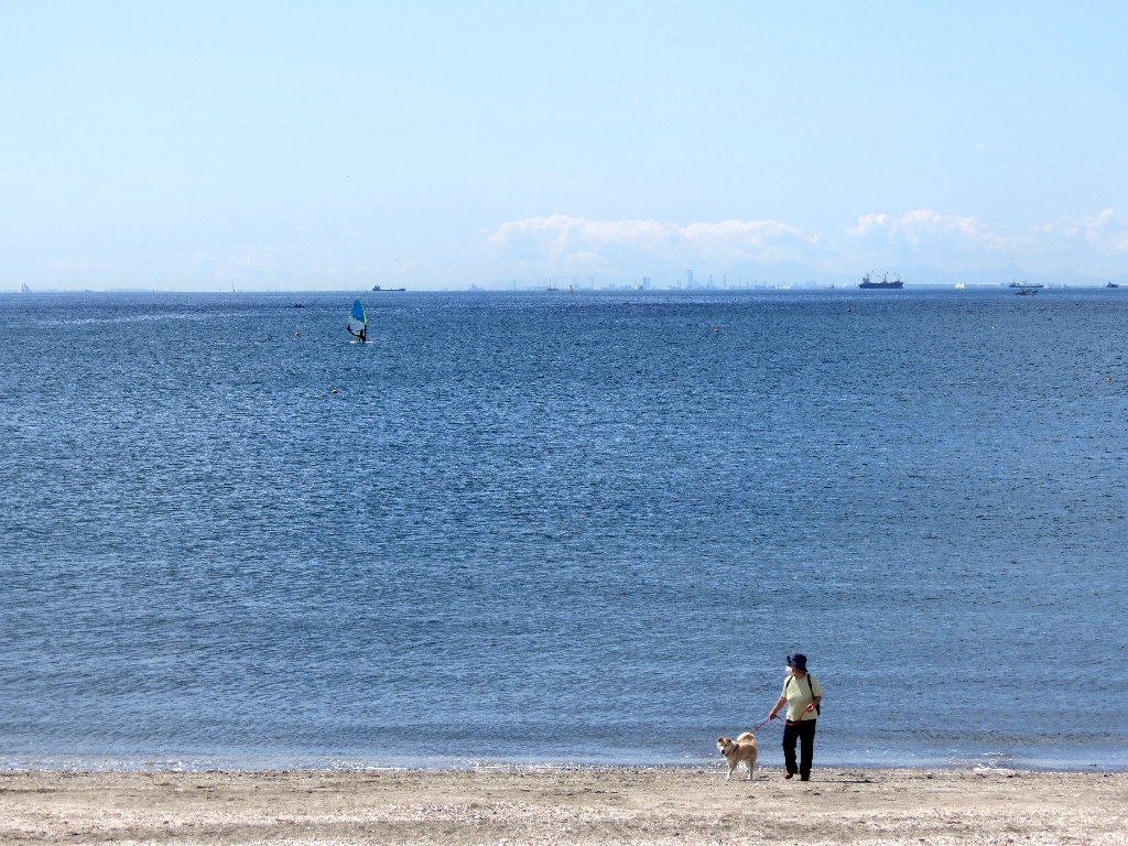 Makuhari hama